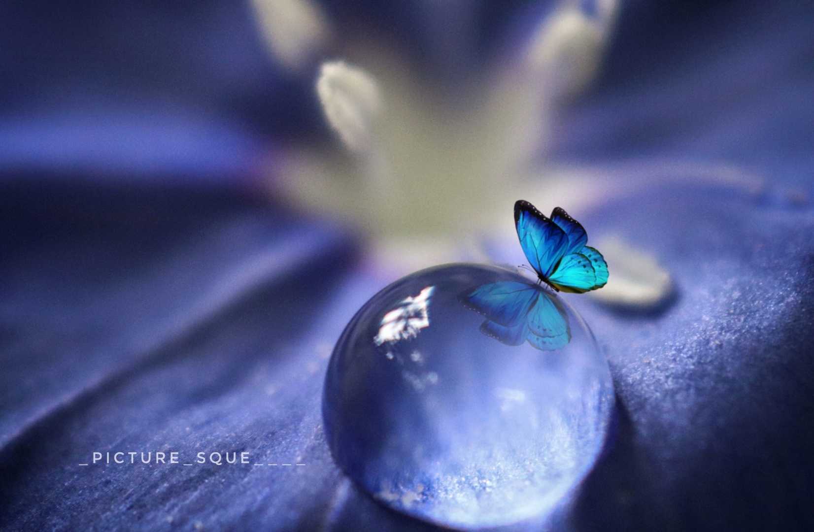 🦋