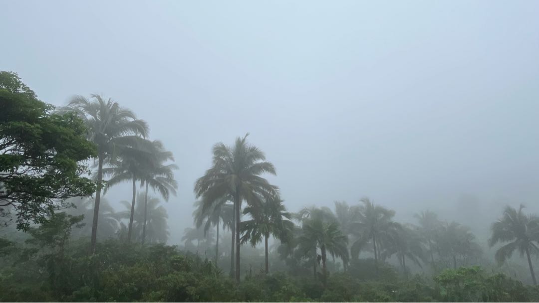 Foggy Weather