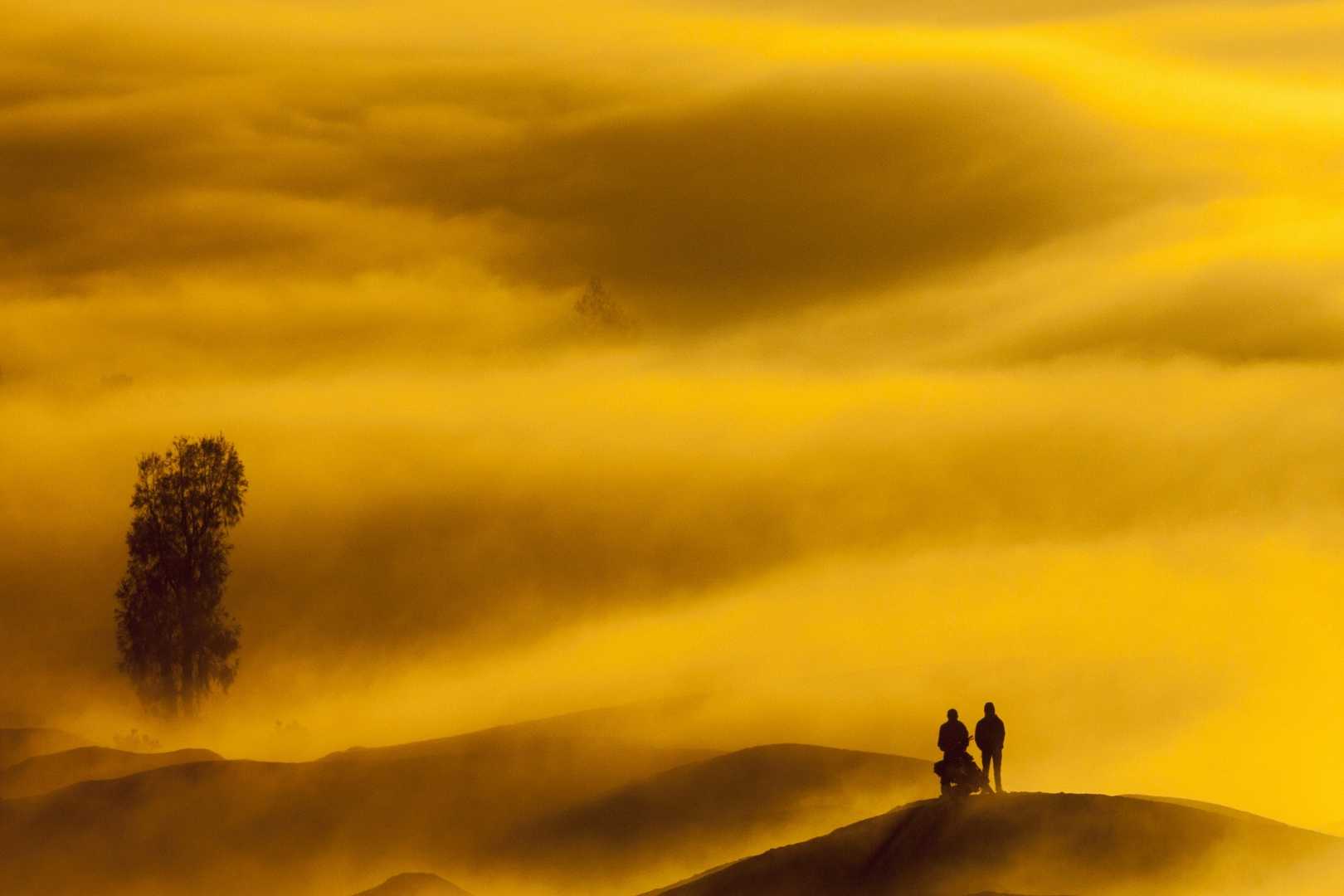 Pesona Kabut Bromo