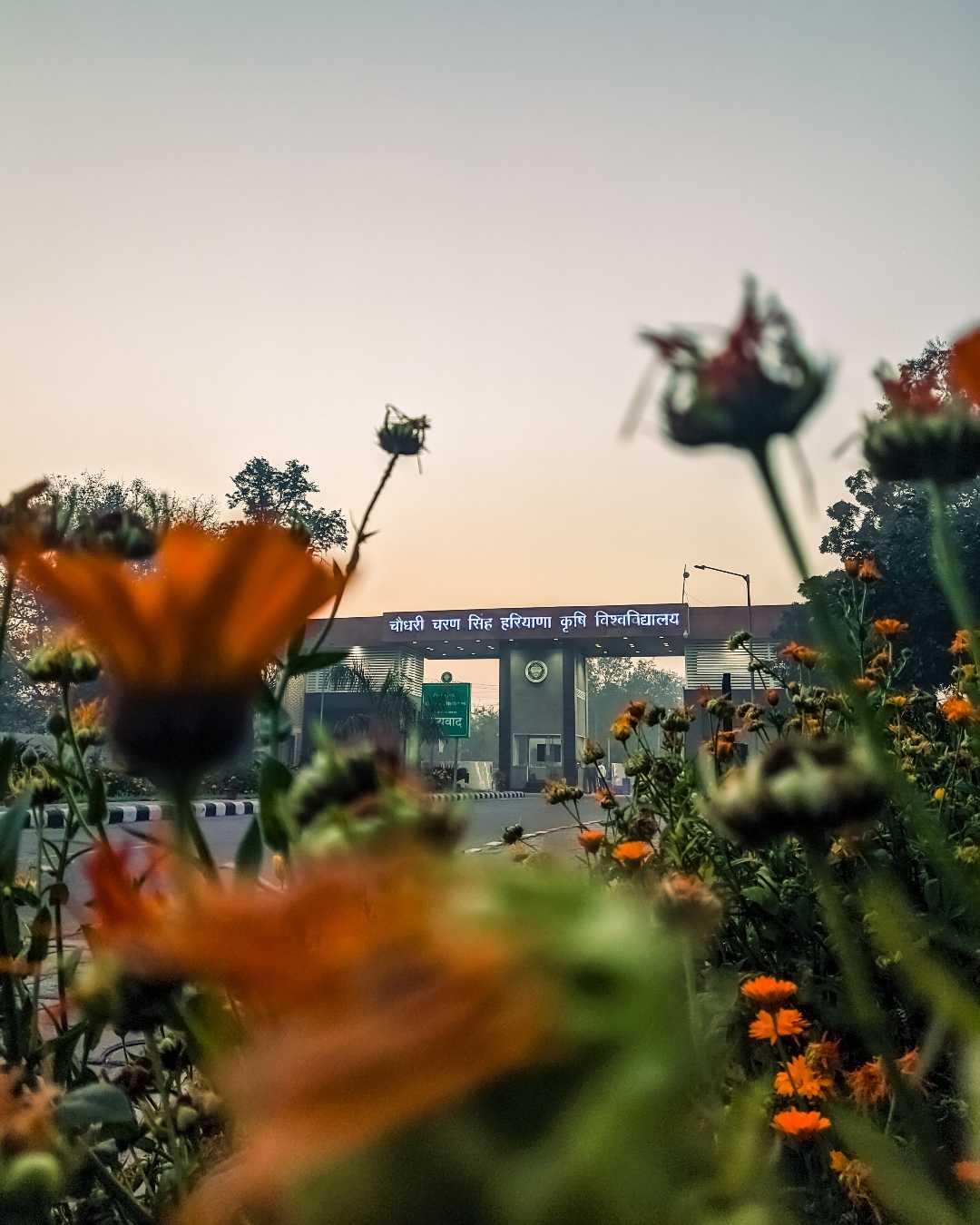Asia's biggest agri. Uni.