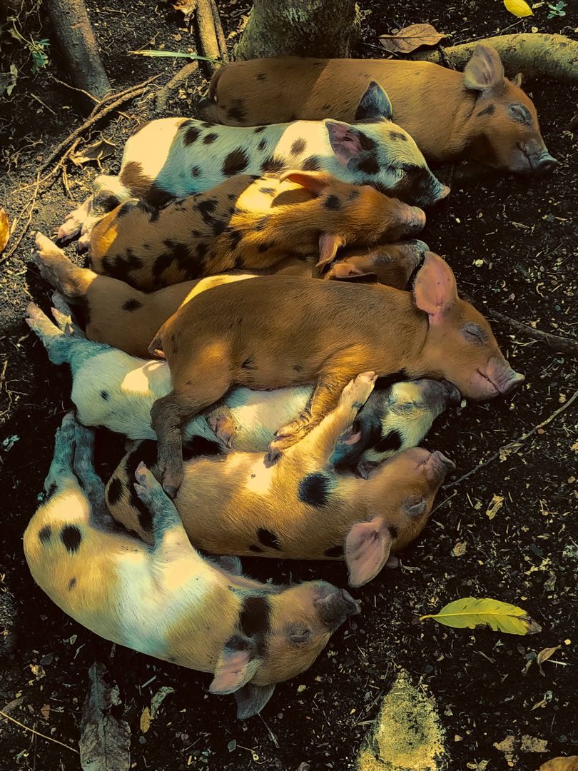 y si dormimos igual ? 