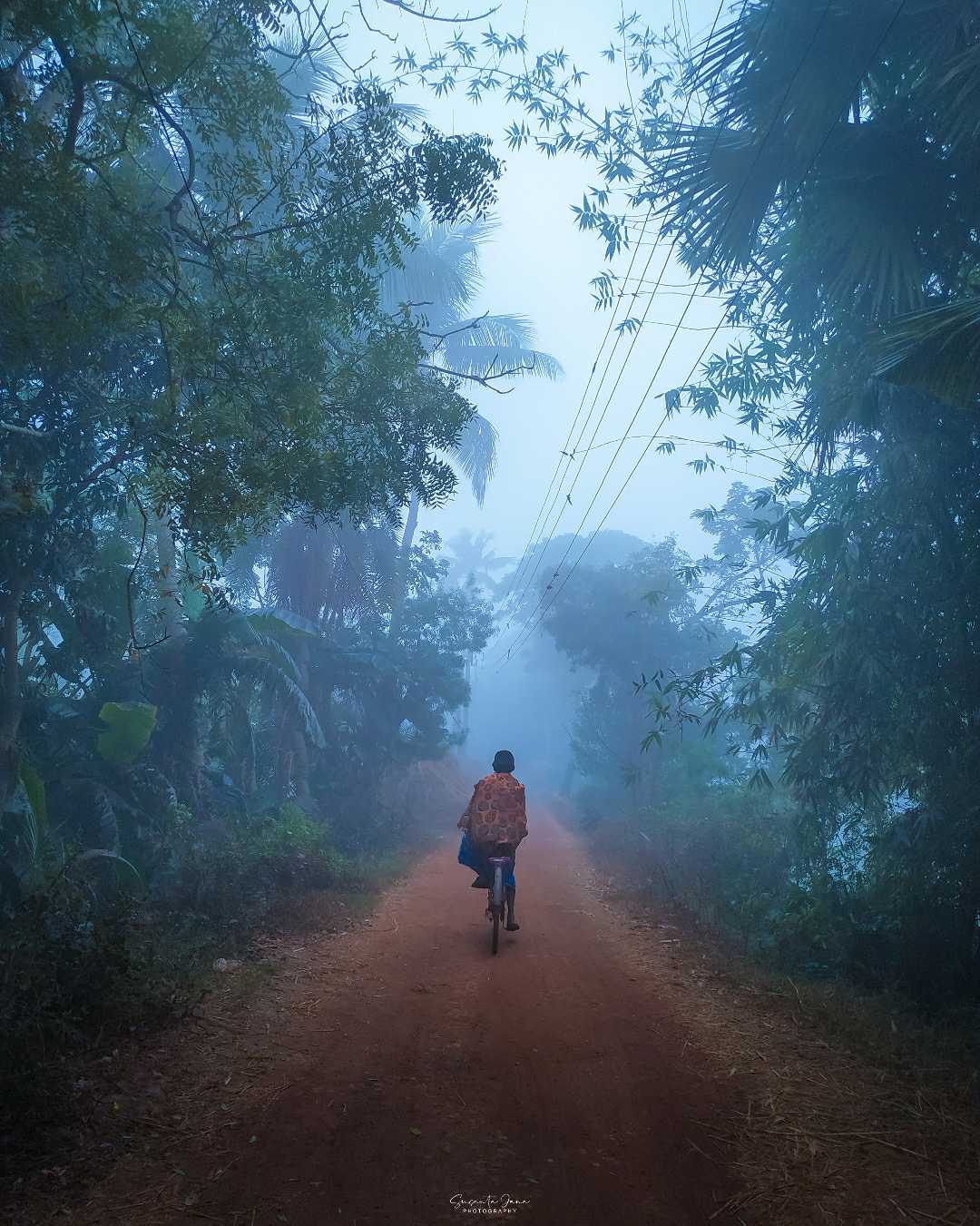foggy morning