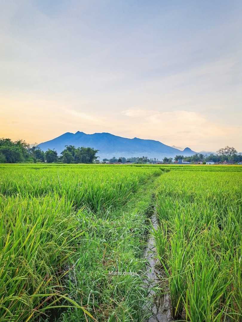 Gunung marapi