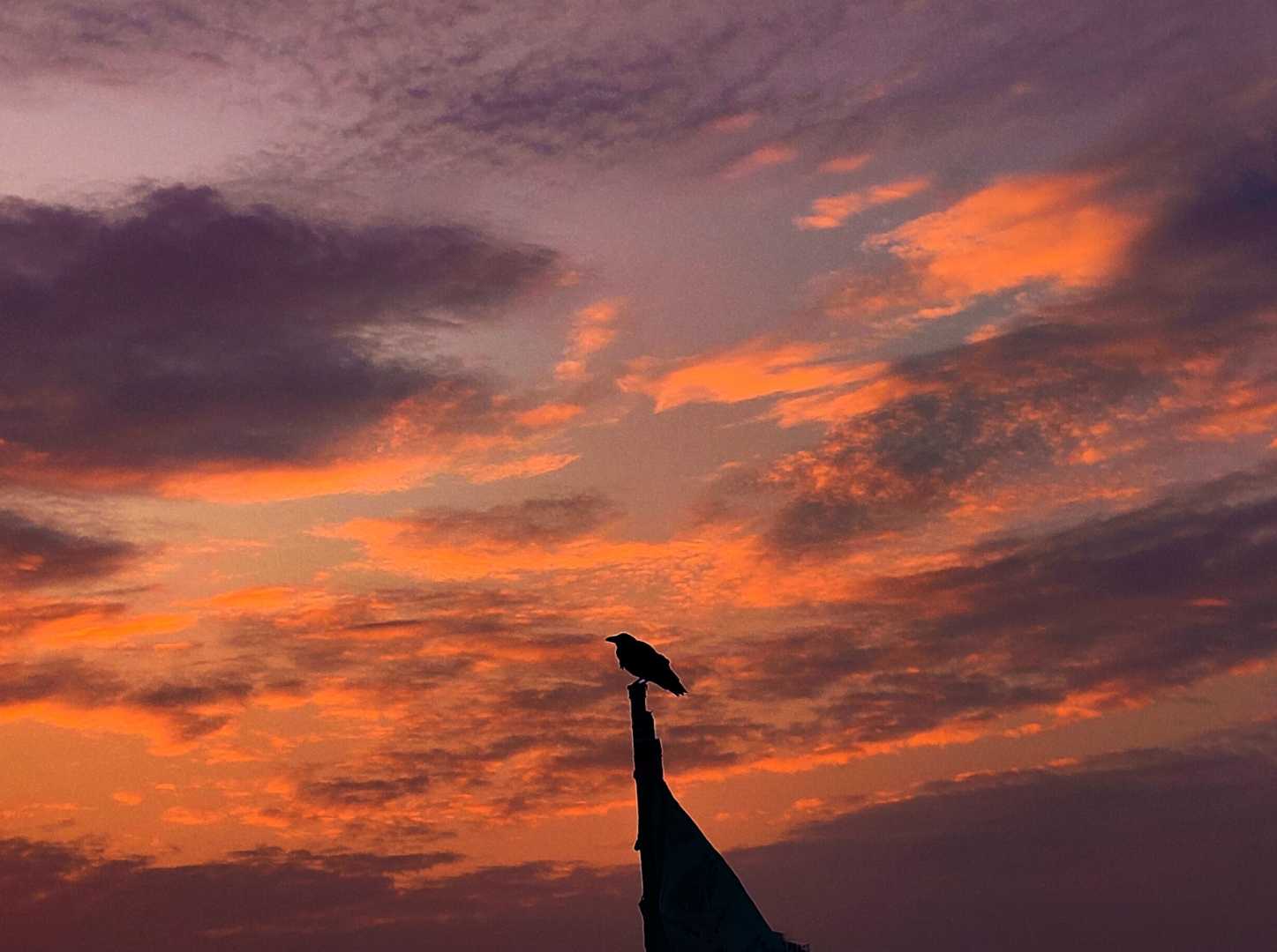 silhouette ❤️