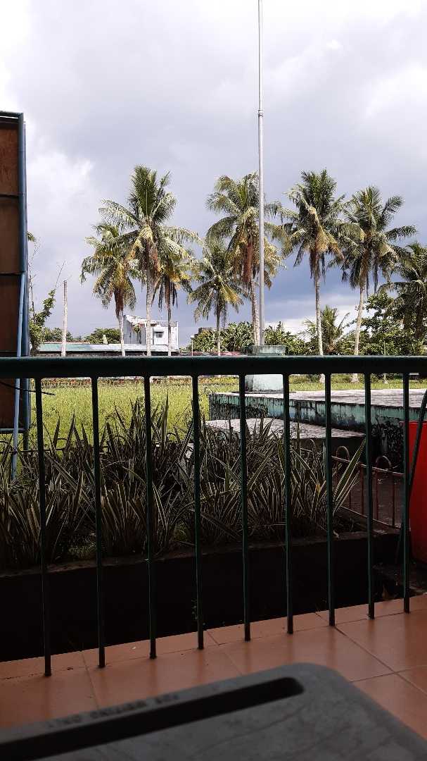 School visit