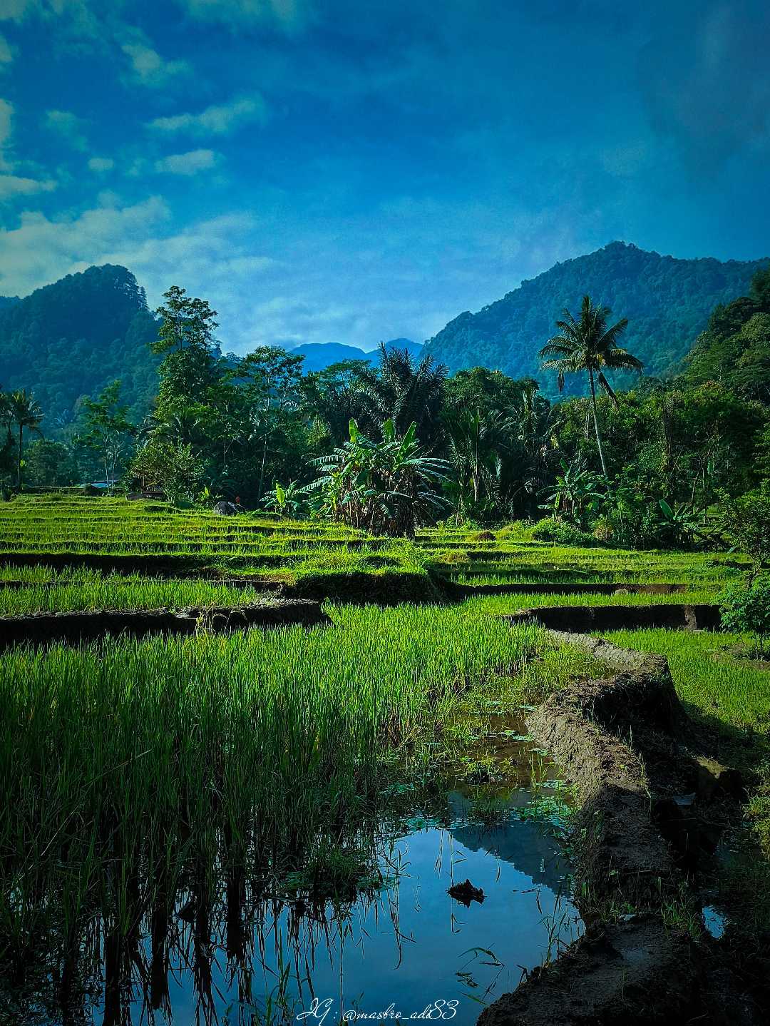 Mengintip Potensi Alam Dusun Kalikesek "Bisa Jadi Desa Wisat