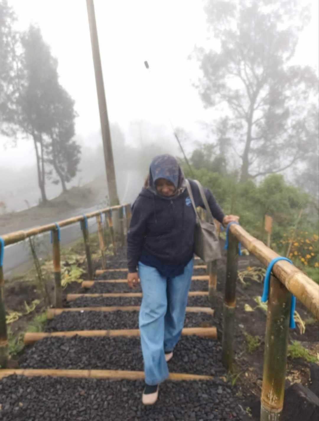 Tangga bambu