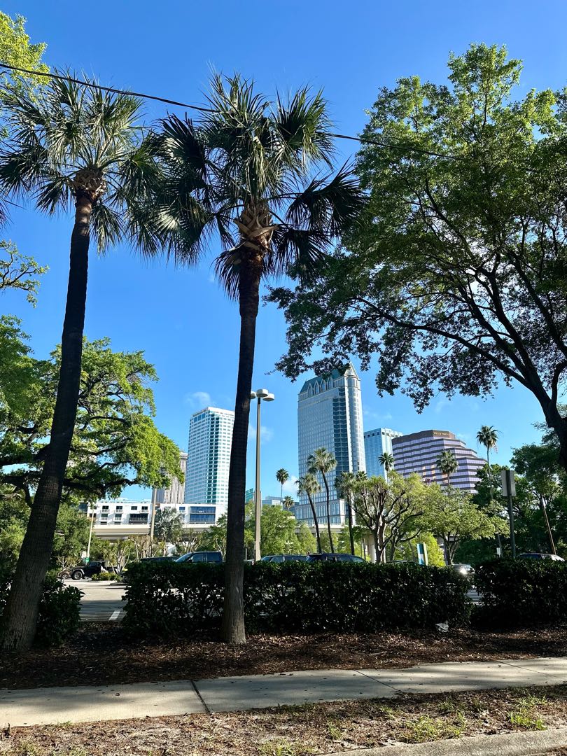 🌴