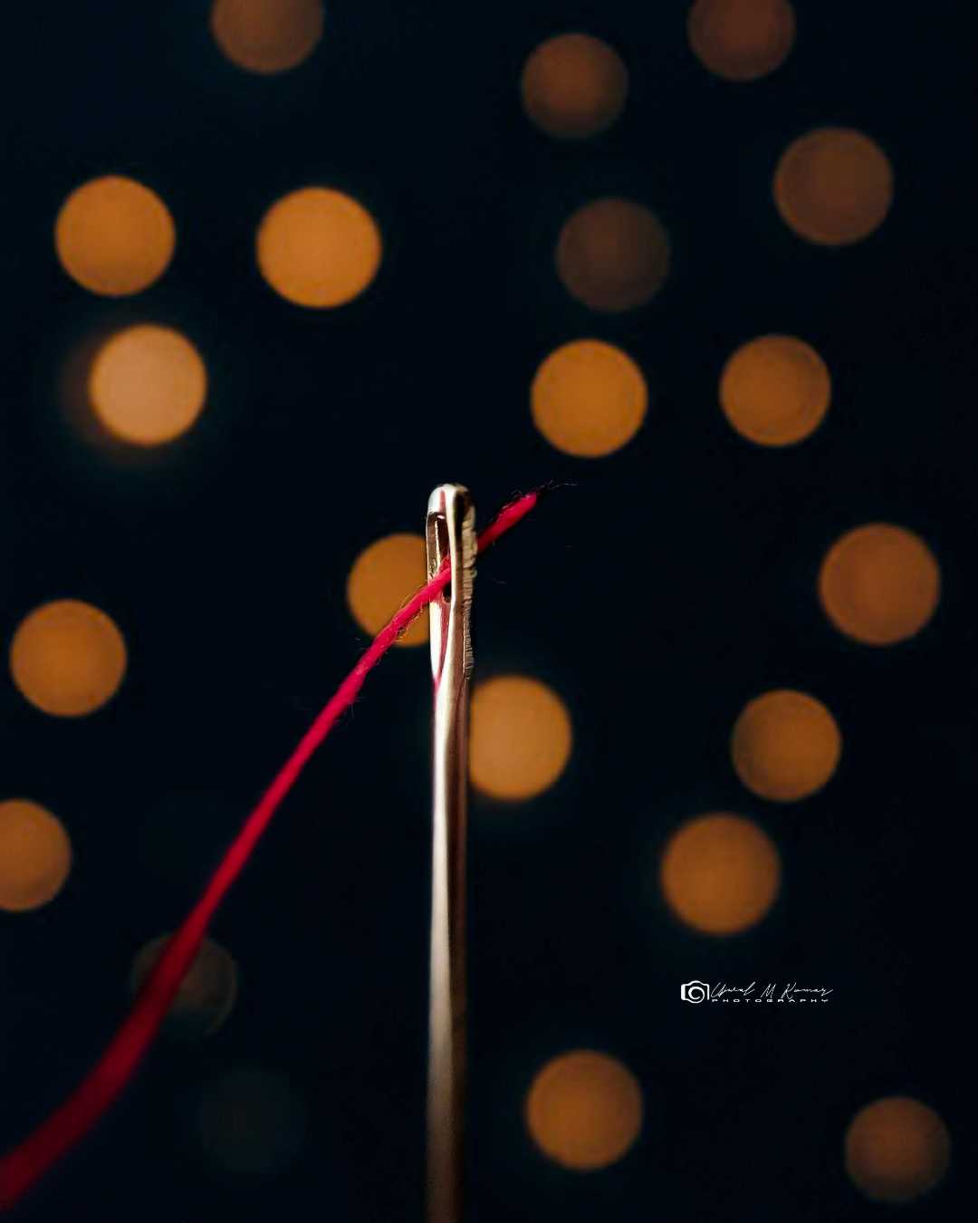 Needle