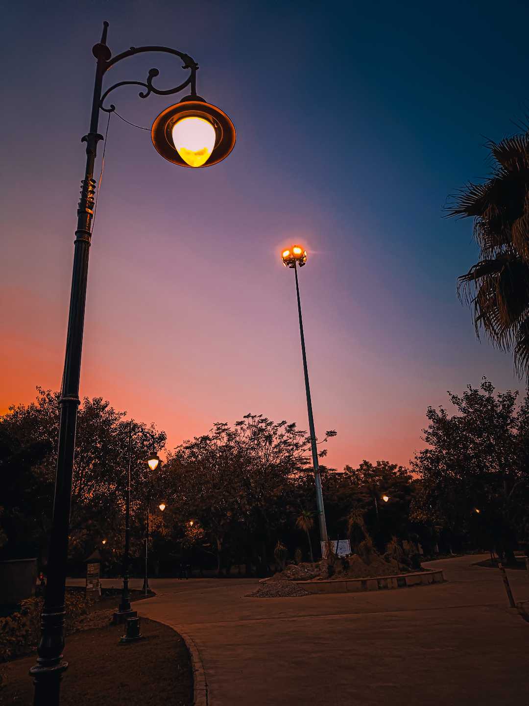 Evening 🌆