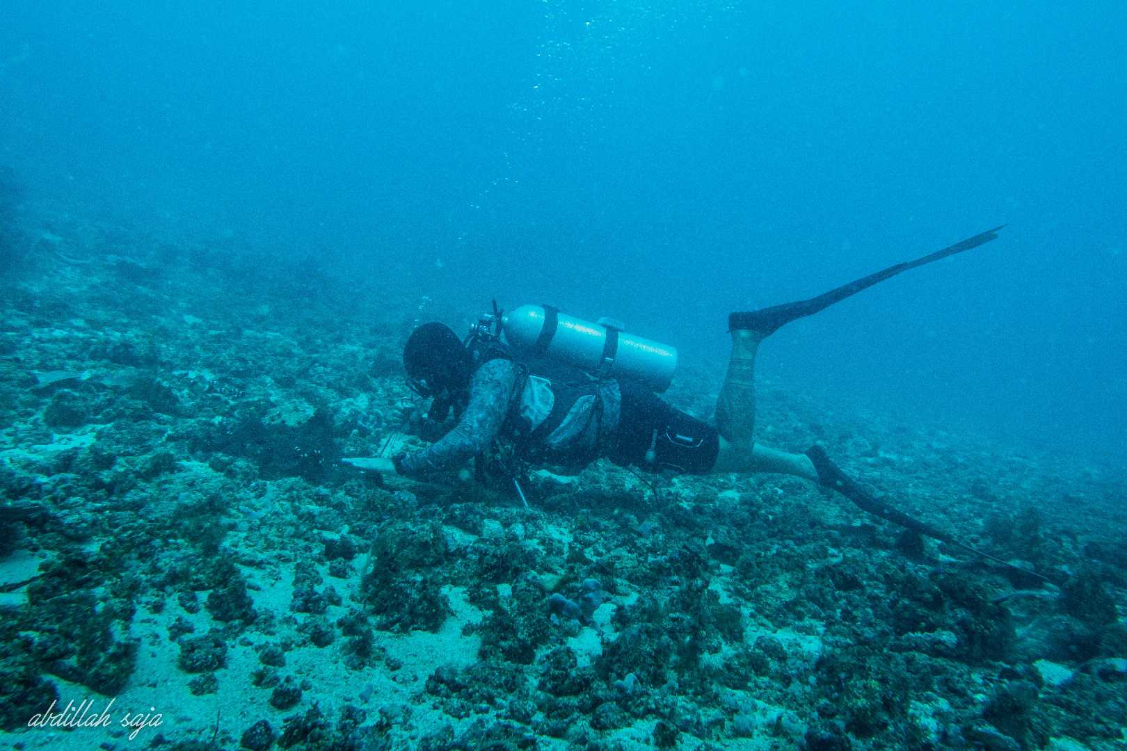 Dive spot Tanjung pamali