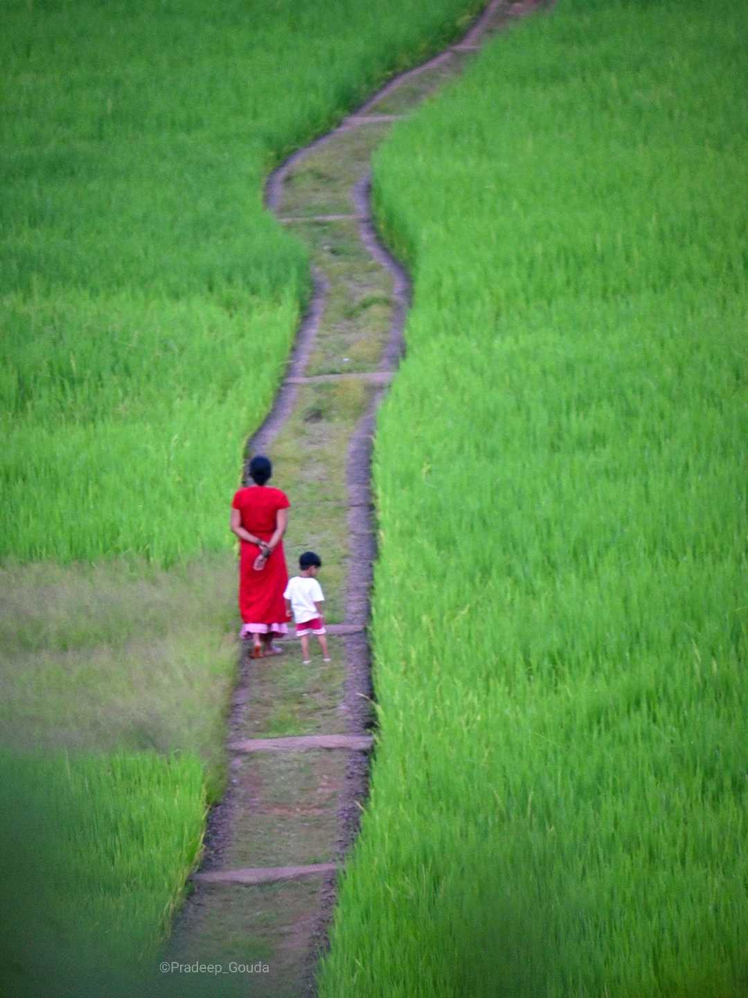 Village Life