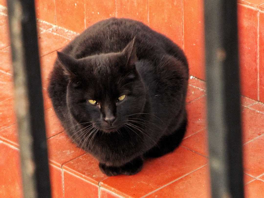 La Mirada;