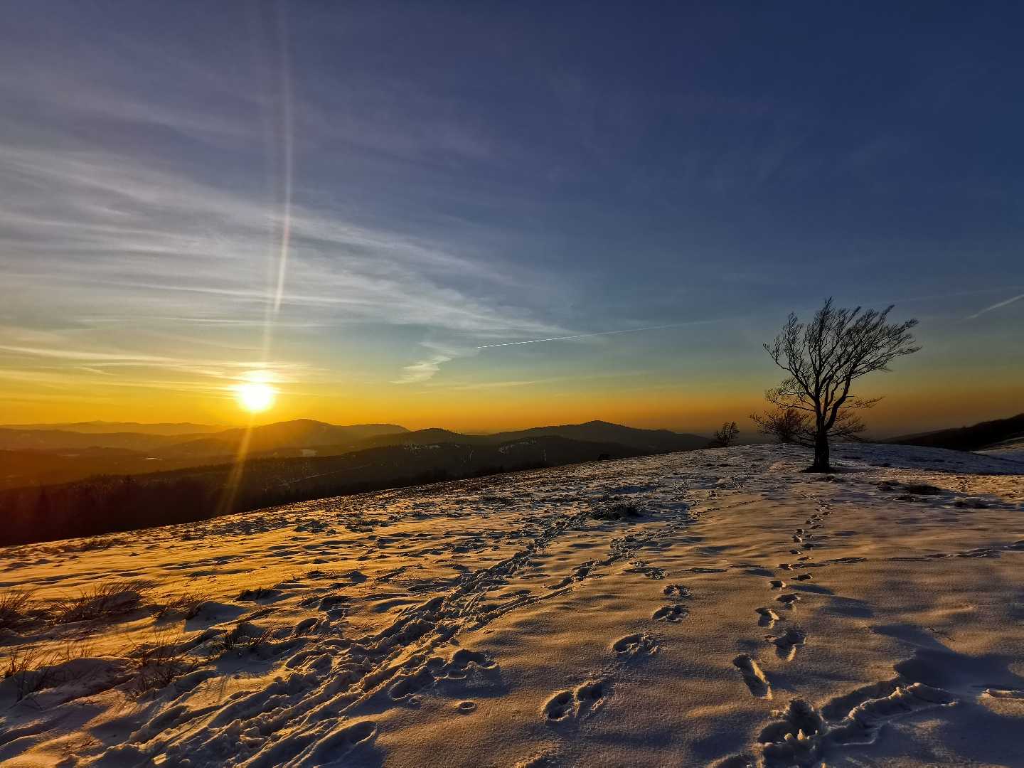 Hala Jaworowa, Beskidy