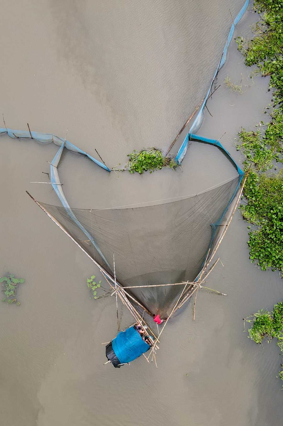 fish trap