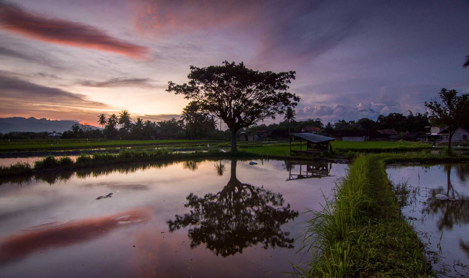 SUNSET 