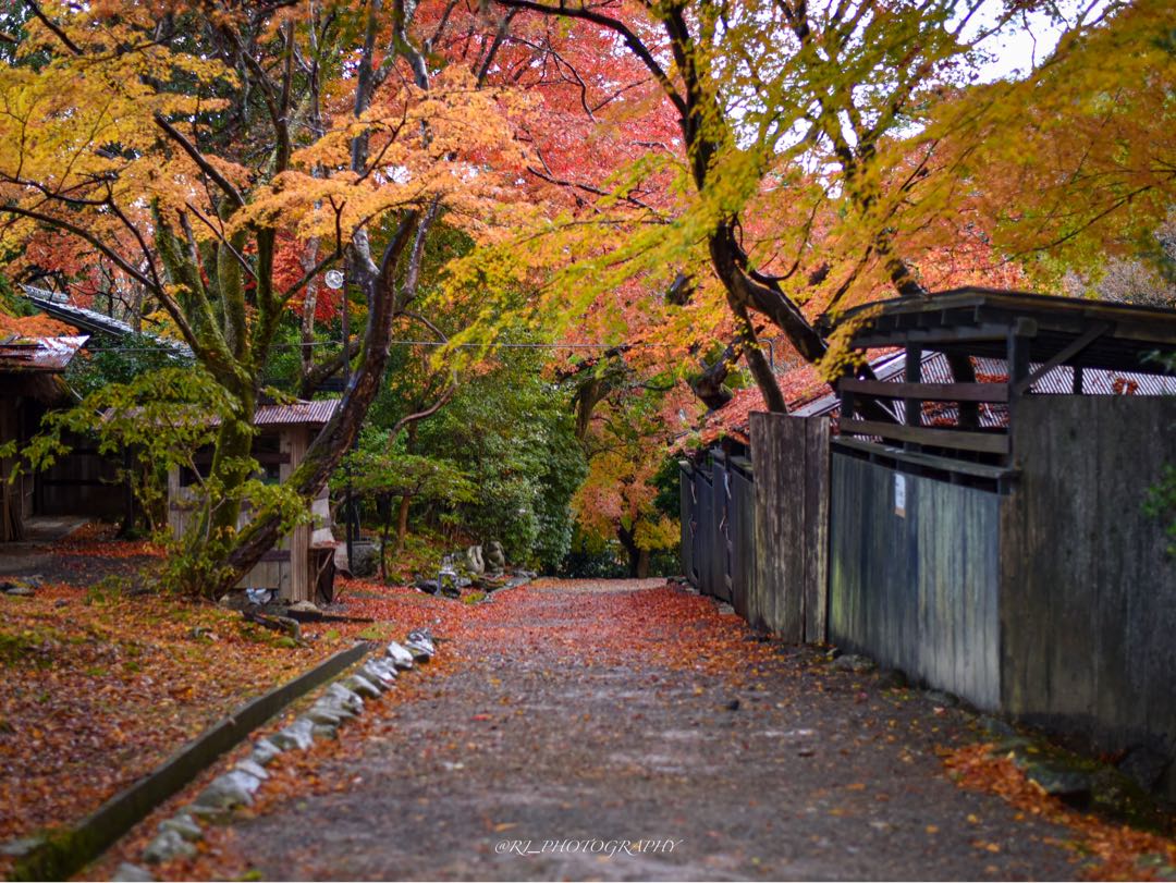 Autumn in kyoto