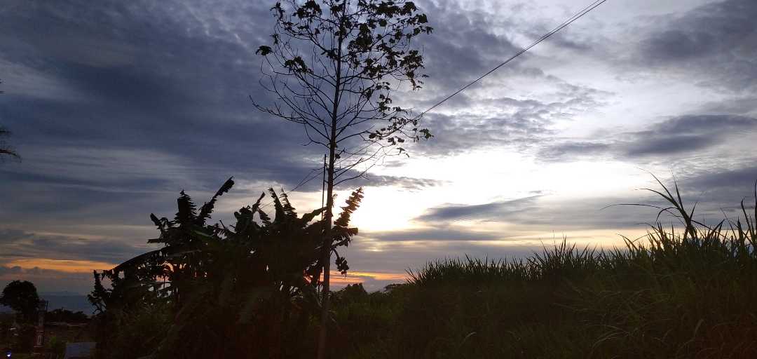 melukis senja