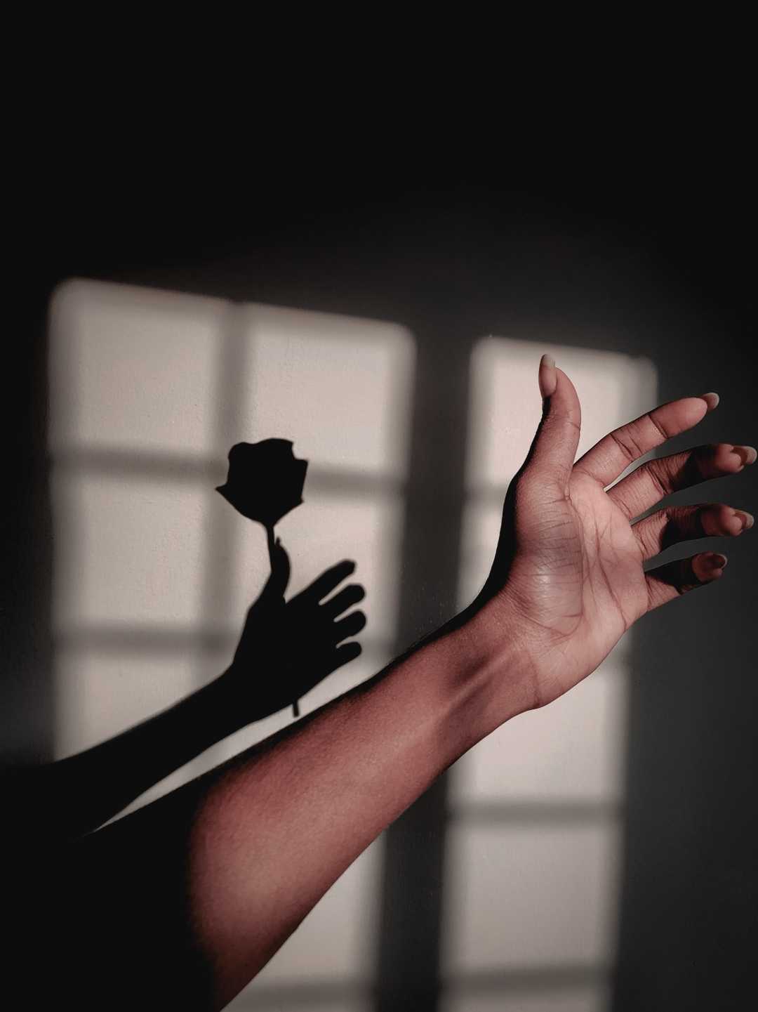 Shadow
