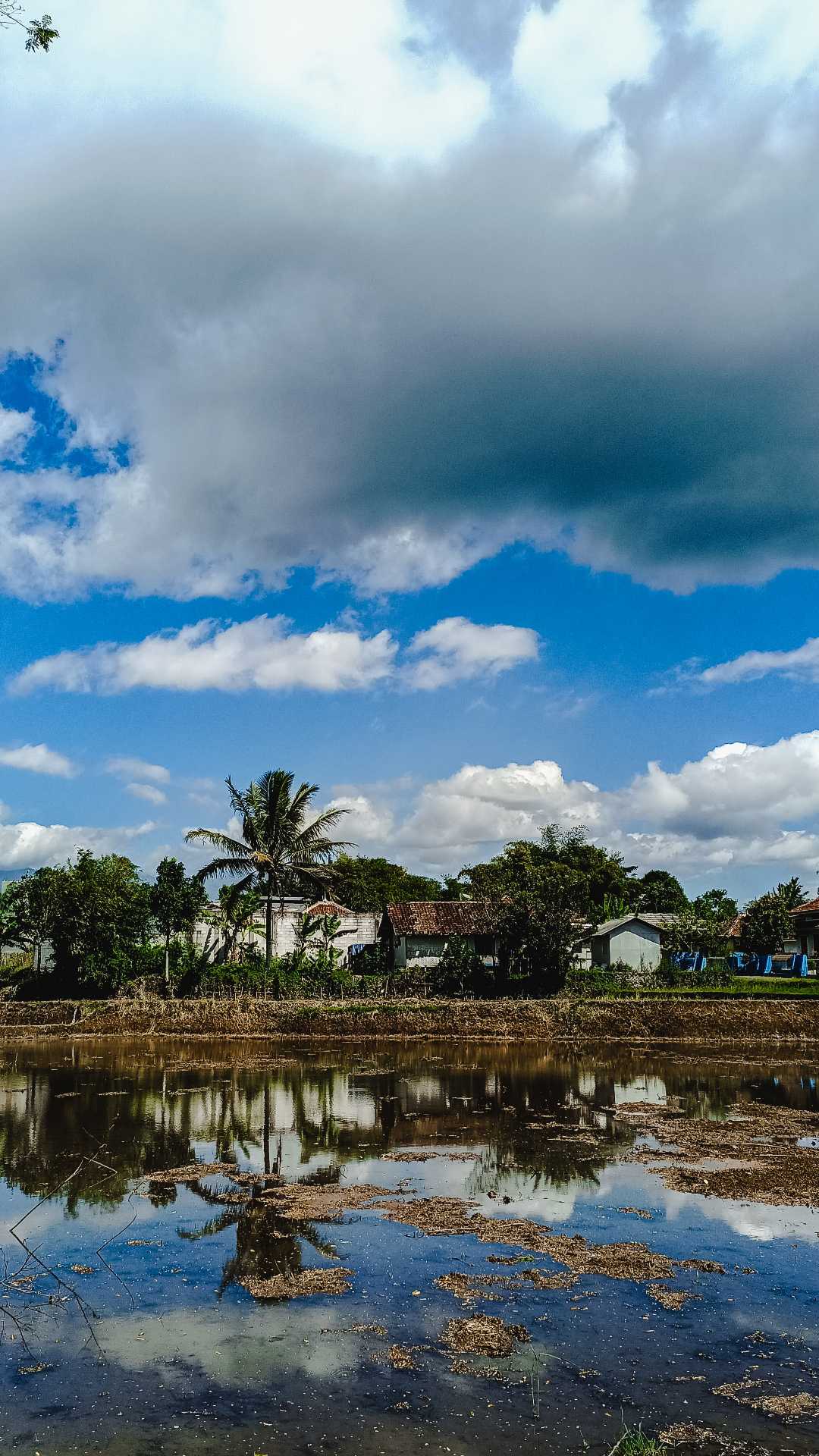 my village