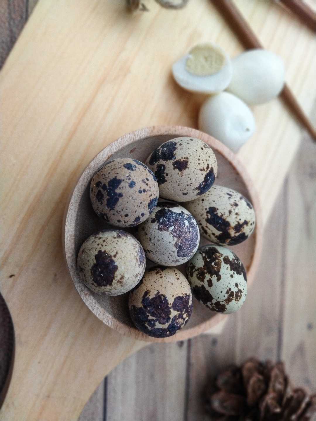 Telur Puyuh