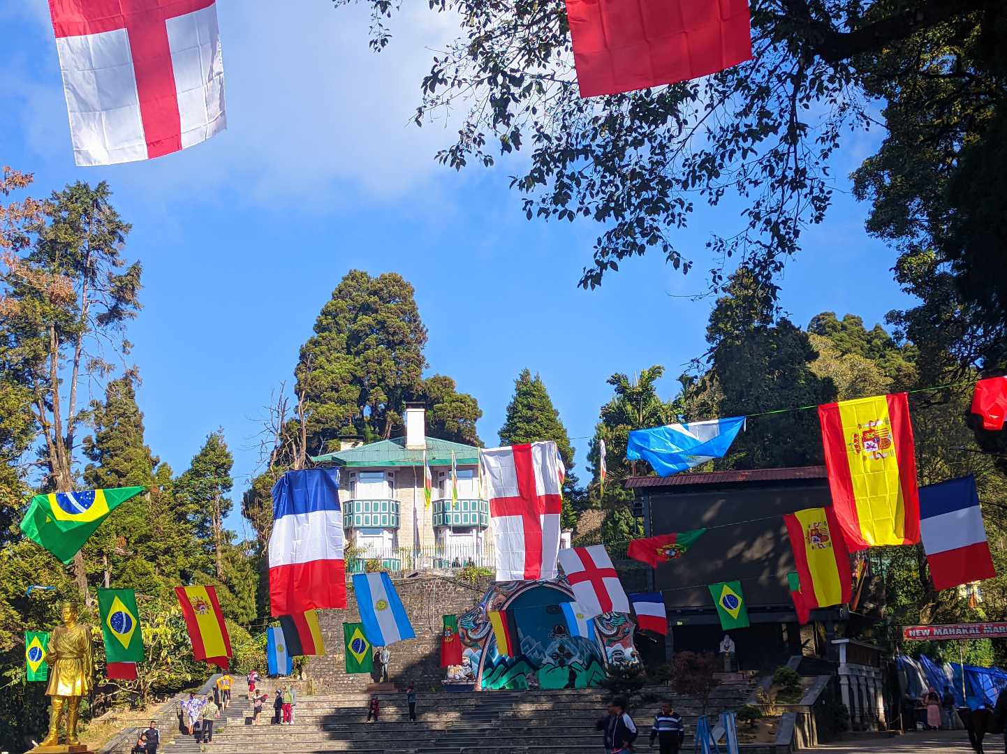 Fifa World Cup Fever!