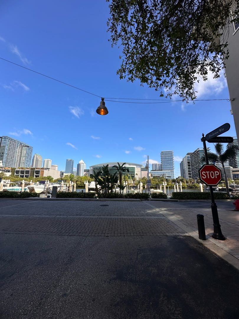 🏙️