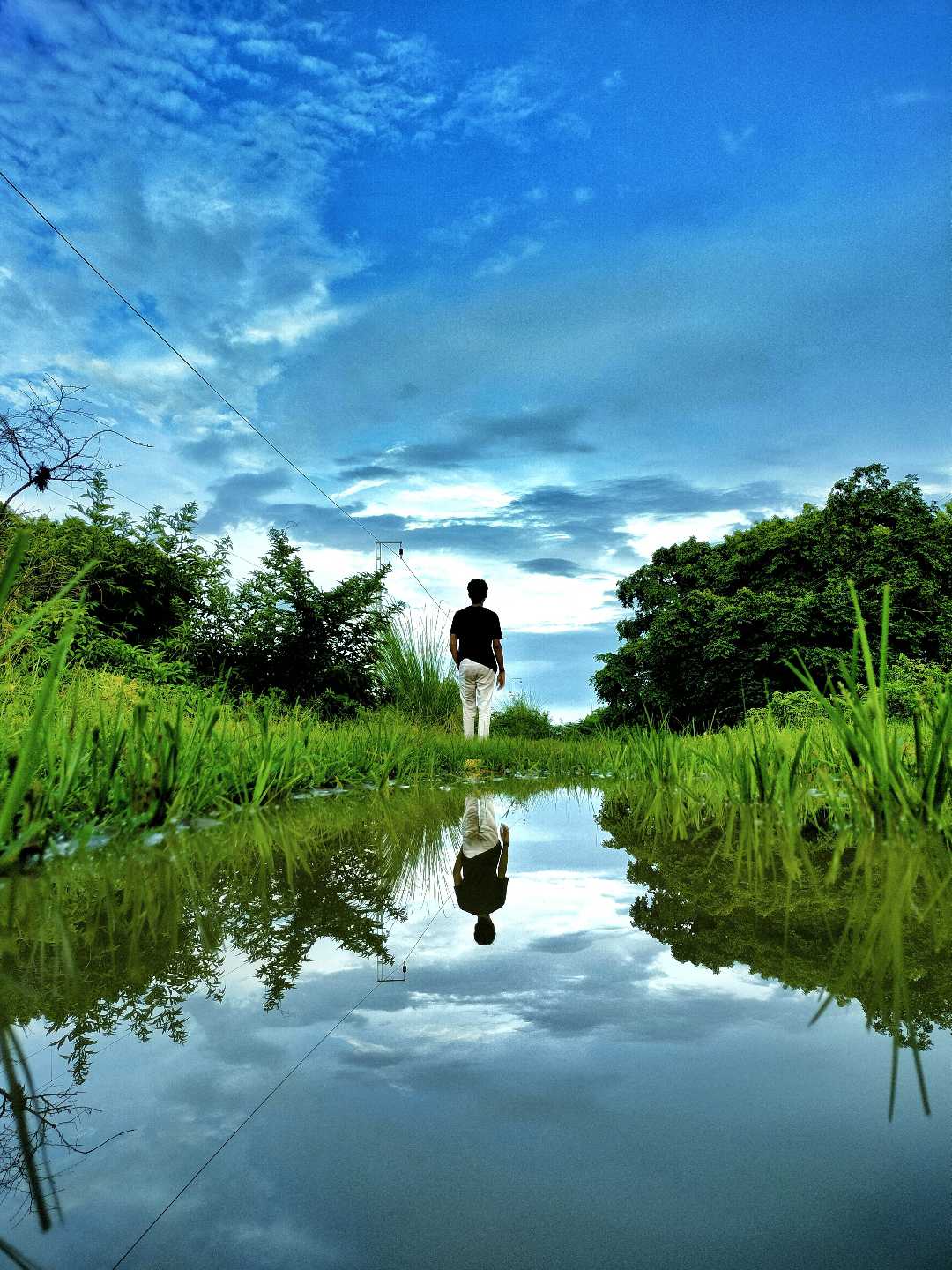 Reflection Shot