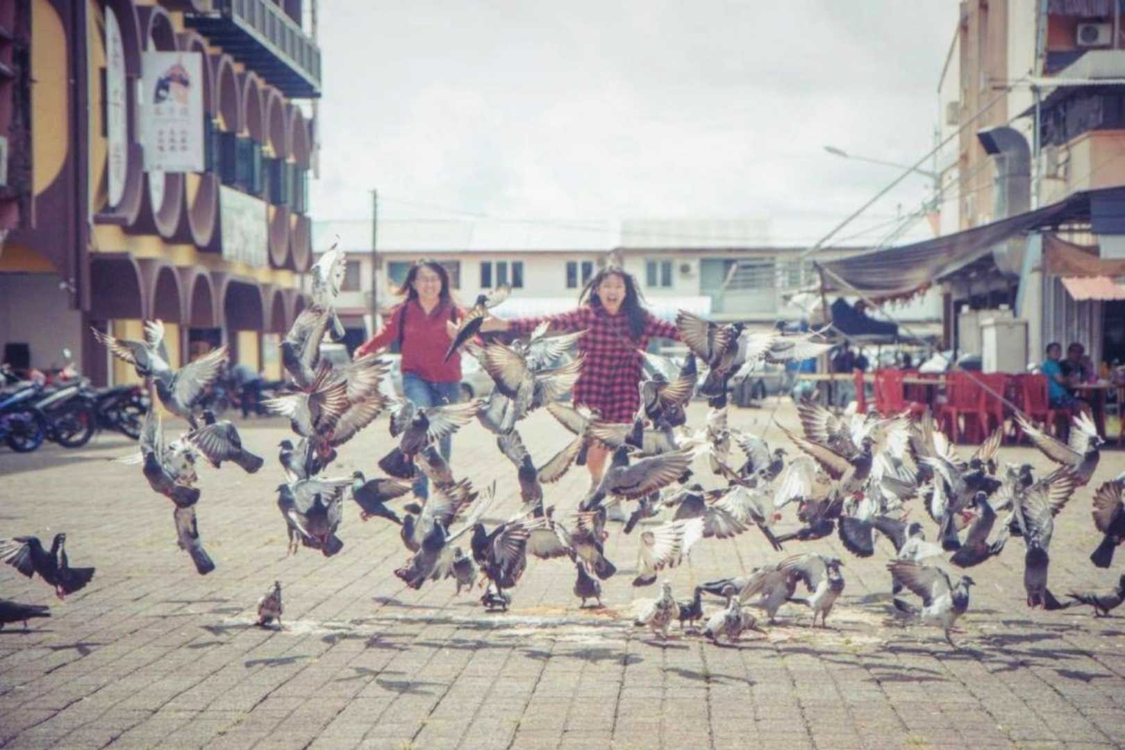 • Chasing Pigeons II •