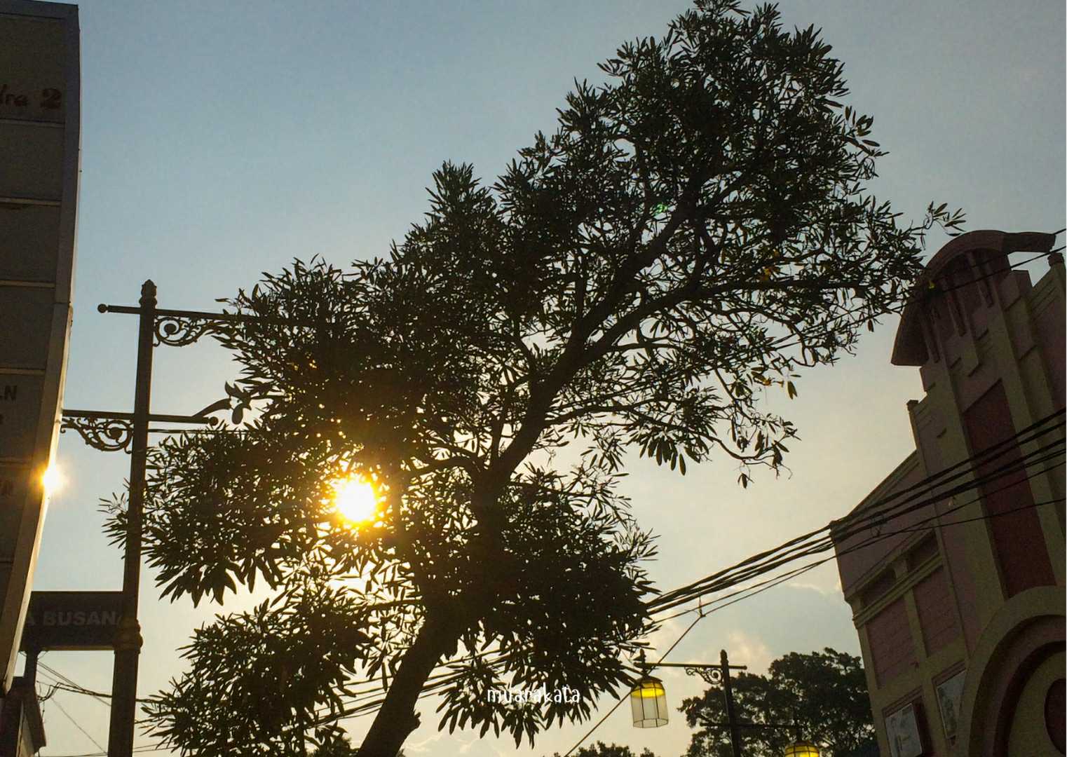 Cianjur