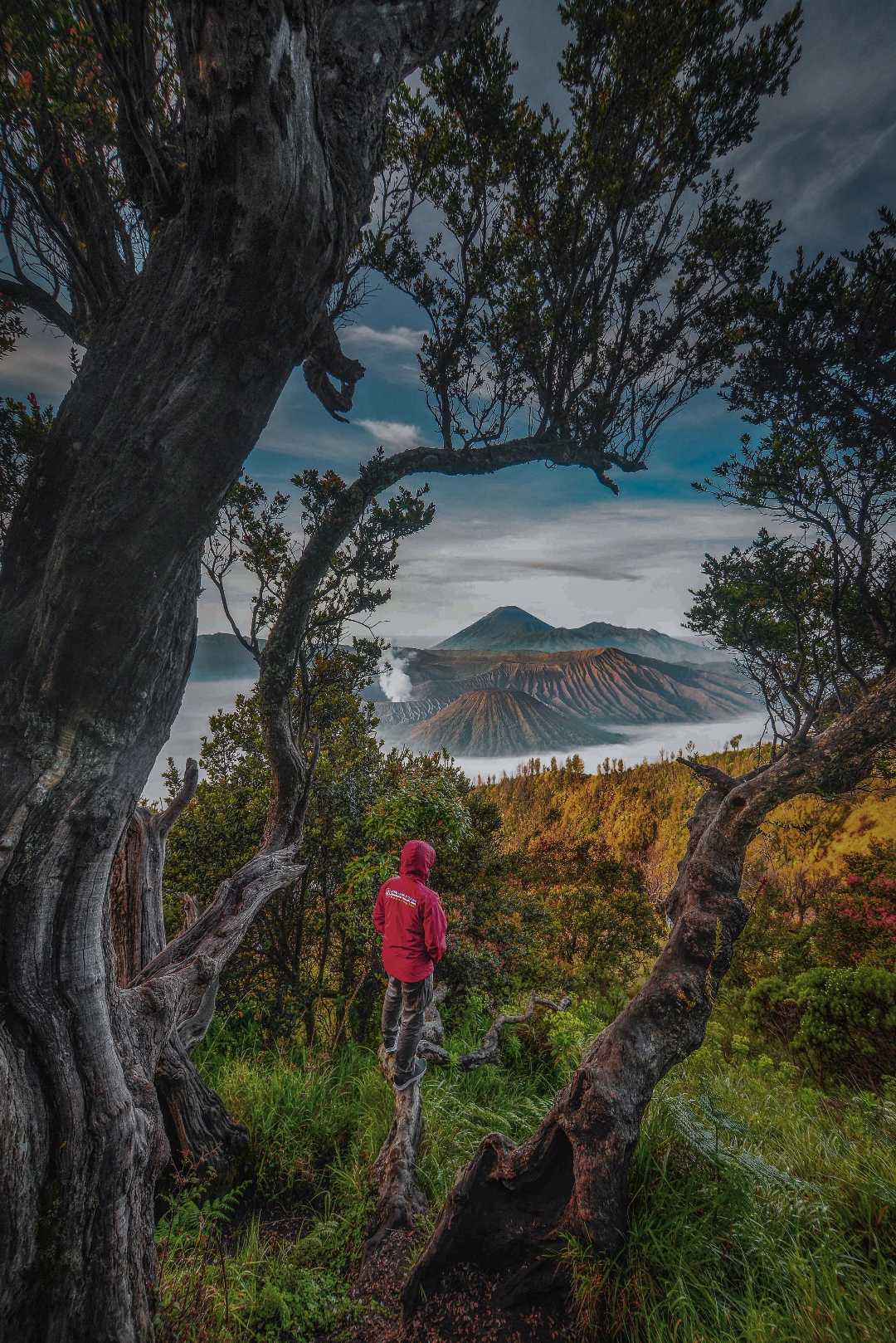 Bromo mountain 