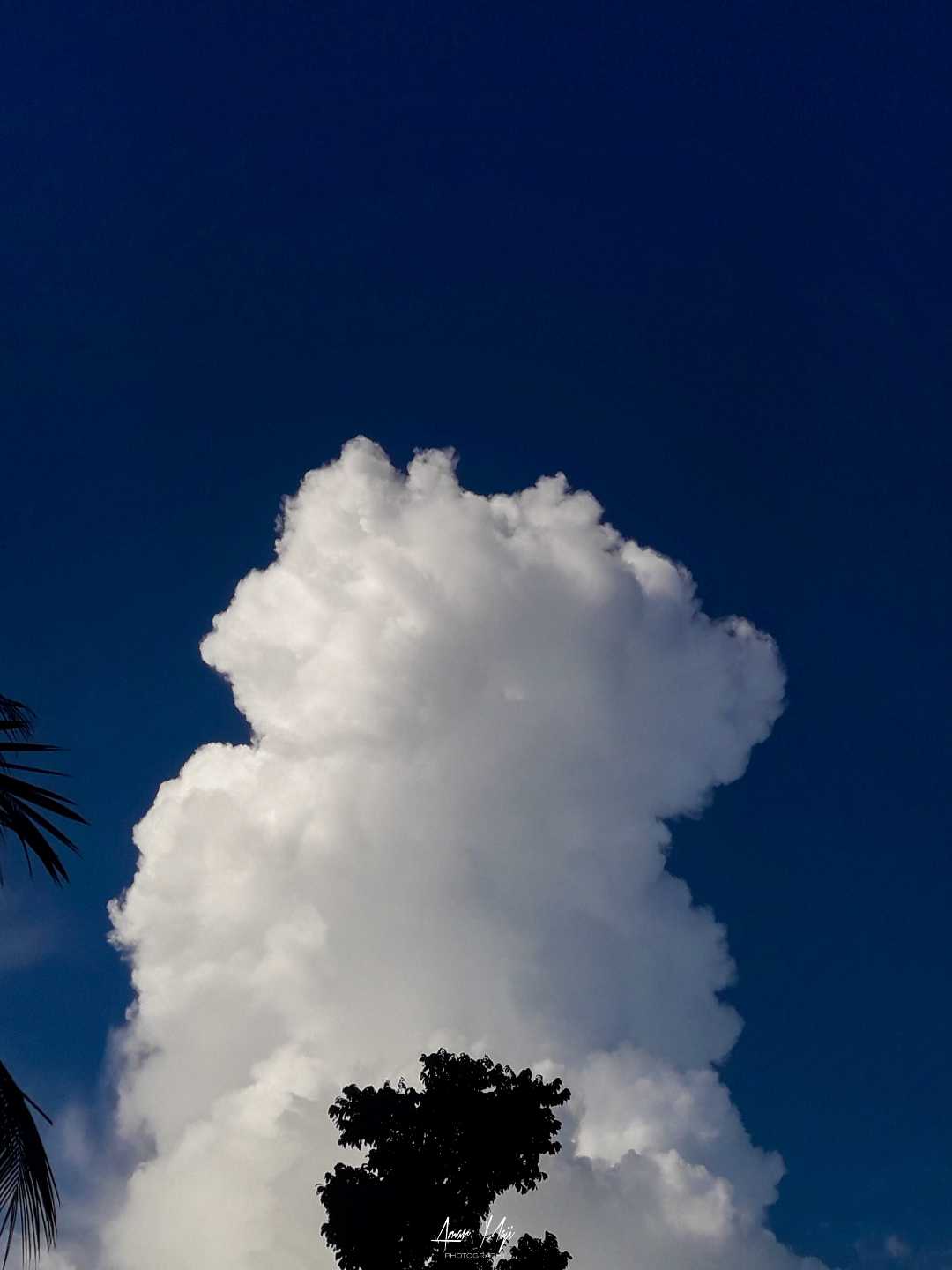 Hunter clouds! 