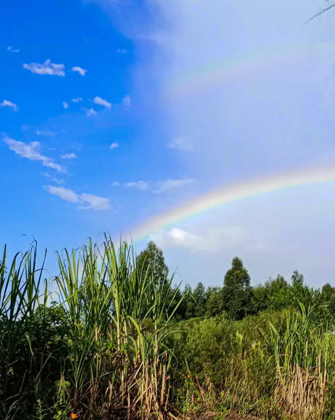🌈 ARCOIRIS 🌈