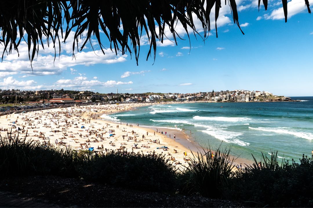Bondi Beach