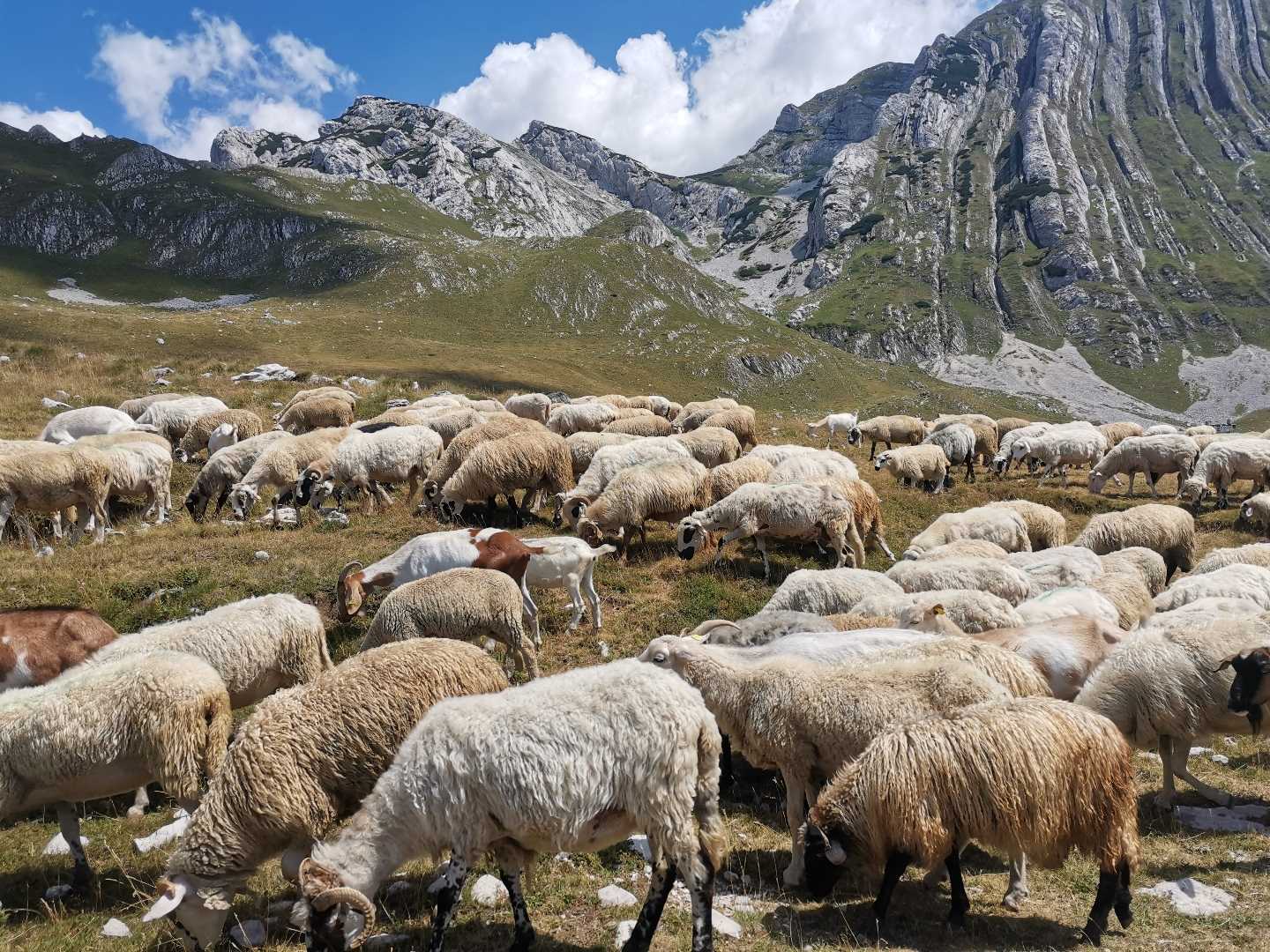 Durmitor, Montenegro 