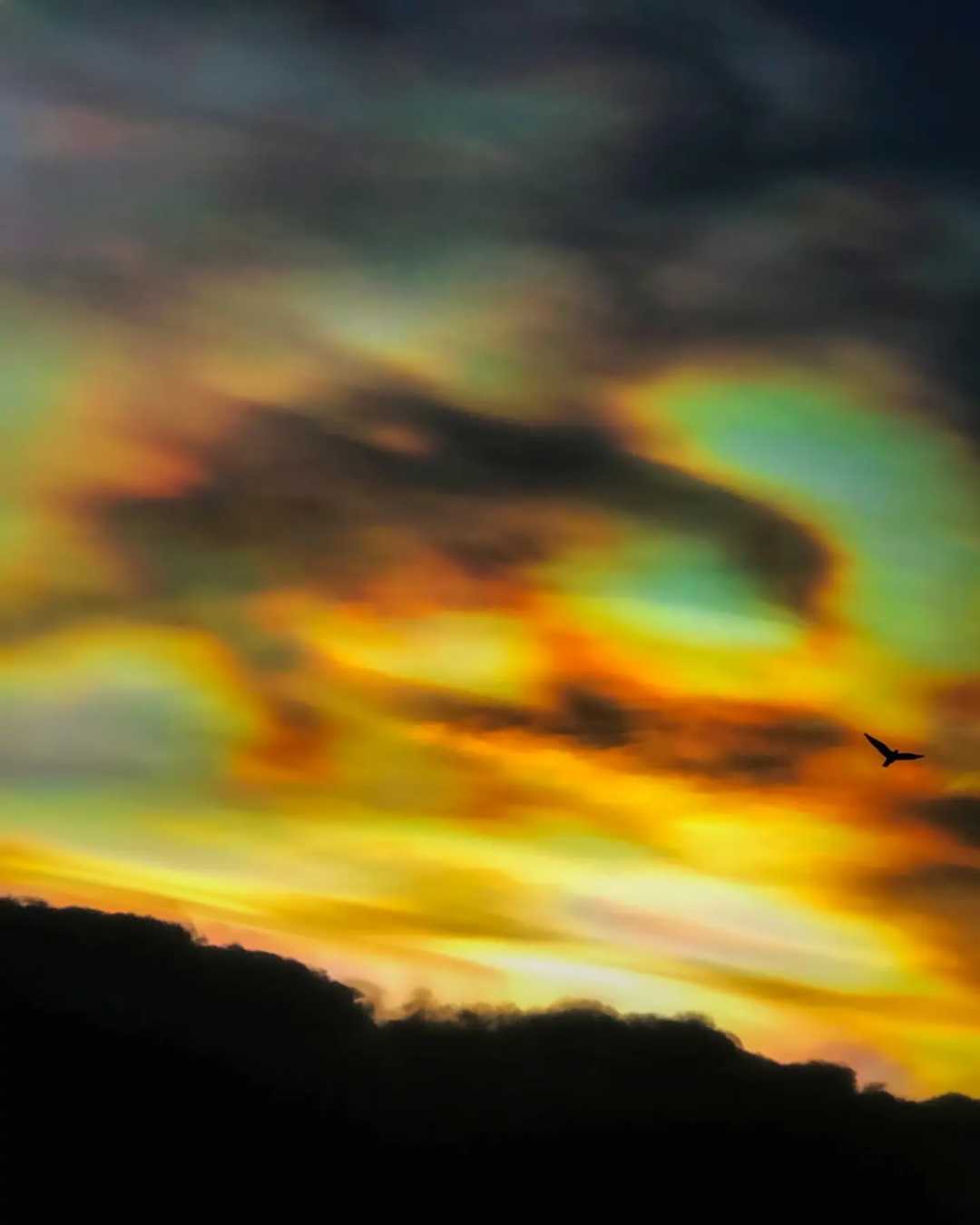Capture it before it disappears