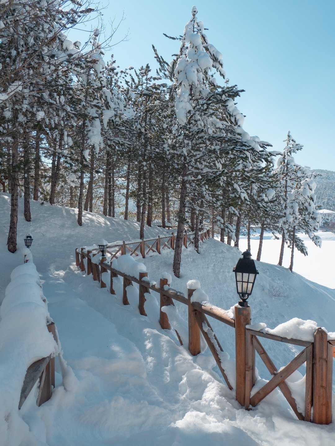 Çamlık National Park