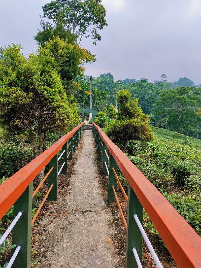 Beautiful Path ❤️