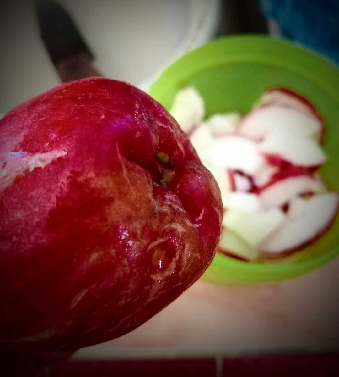 Jambu Jamaika