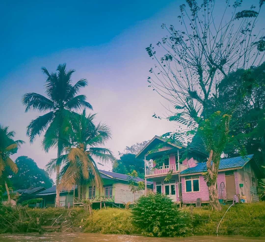 Home in Forest