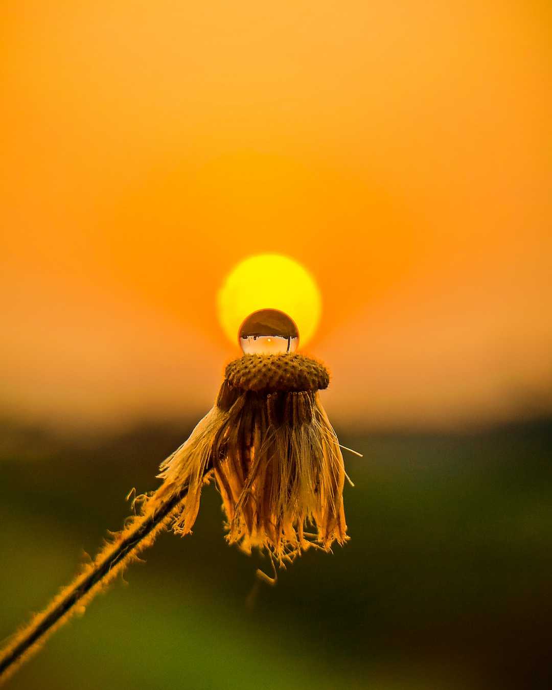 Creative shot with sun ☀