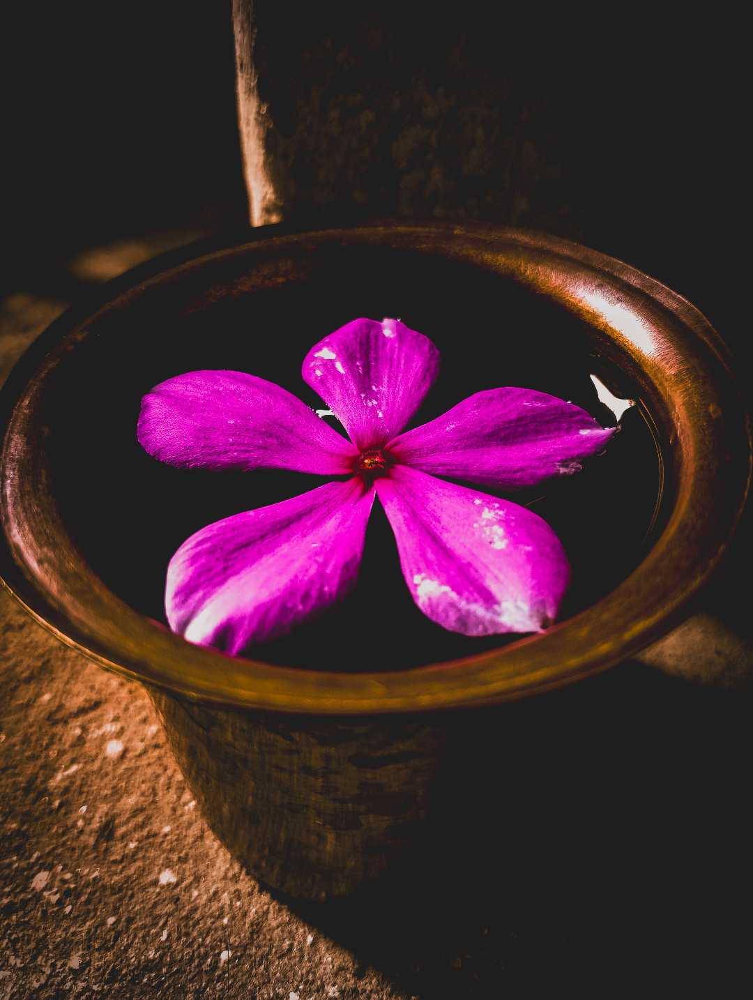 flower 🌸