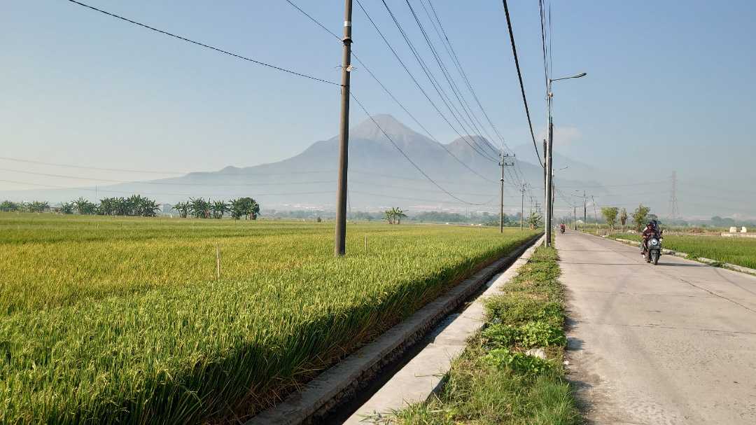 Pegunungan Penanggungan