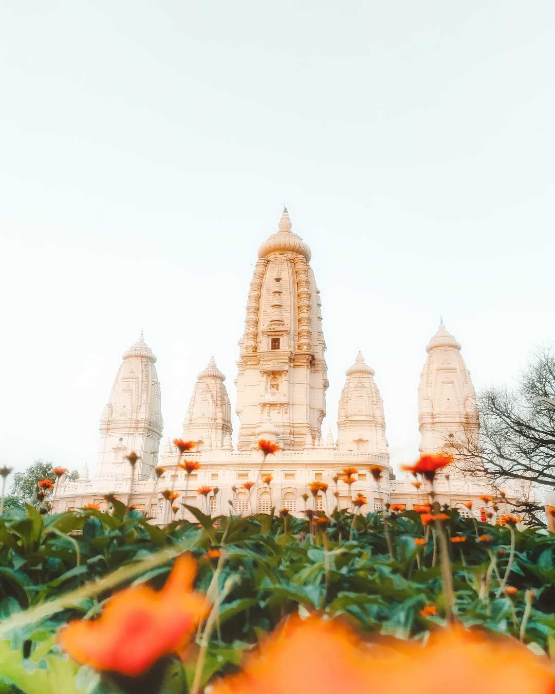 JK temple, Kanpur 