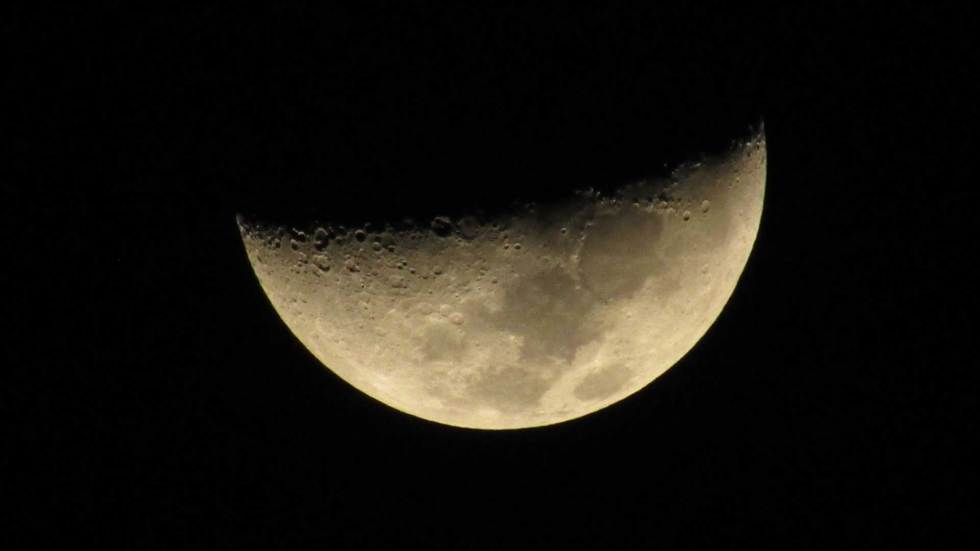 THE HALF MOON