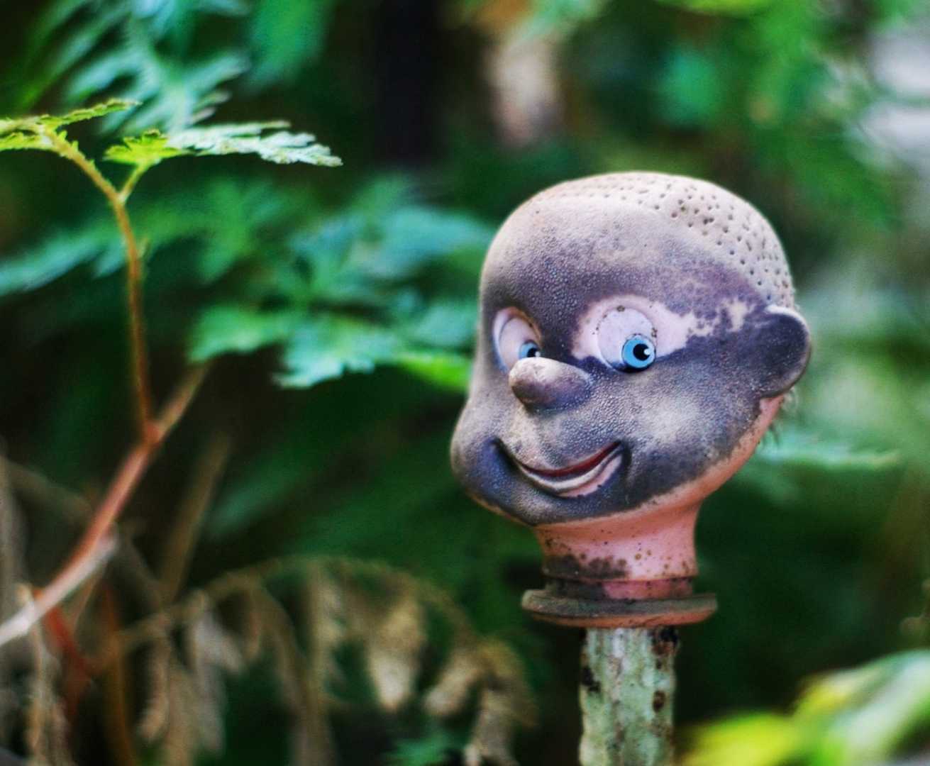 Jardín botánico 