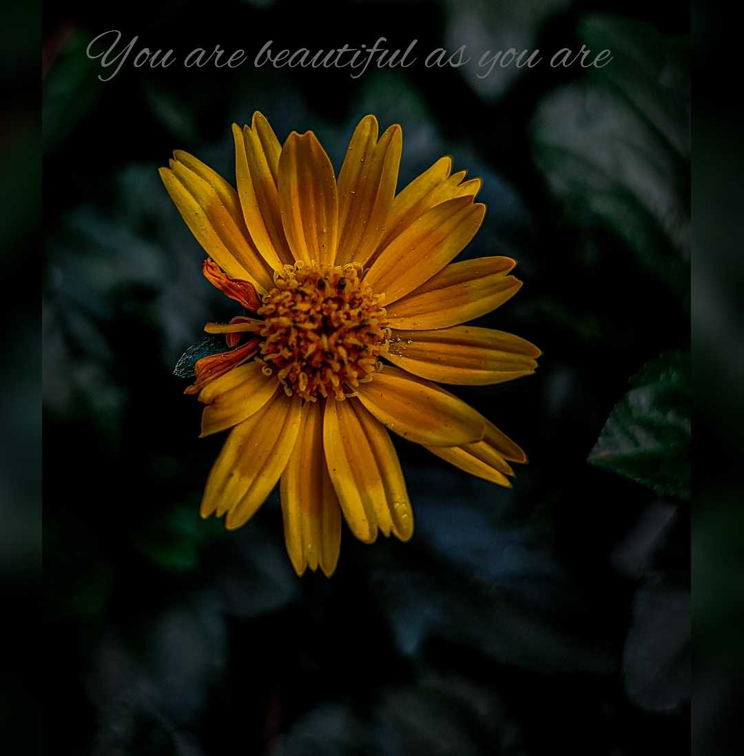 YOU'RE  BEAUTIFUL AS YOU ARE❤