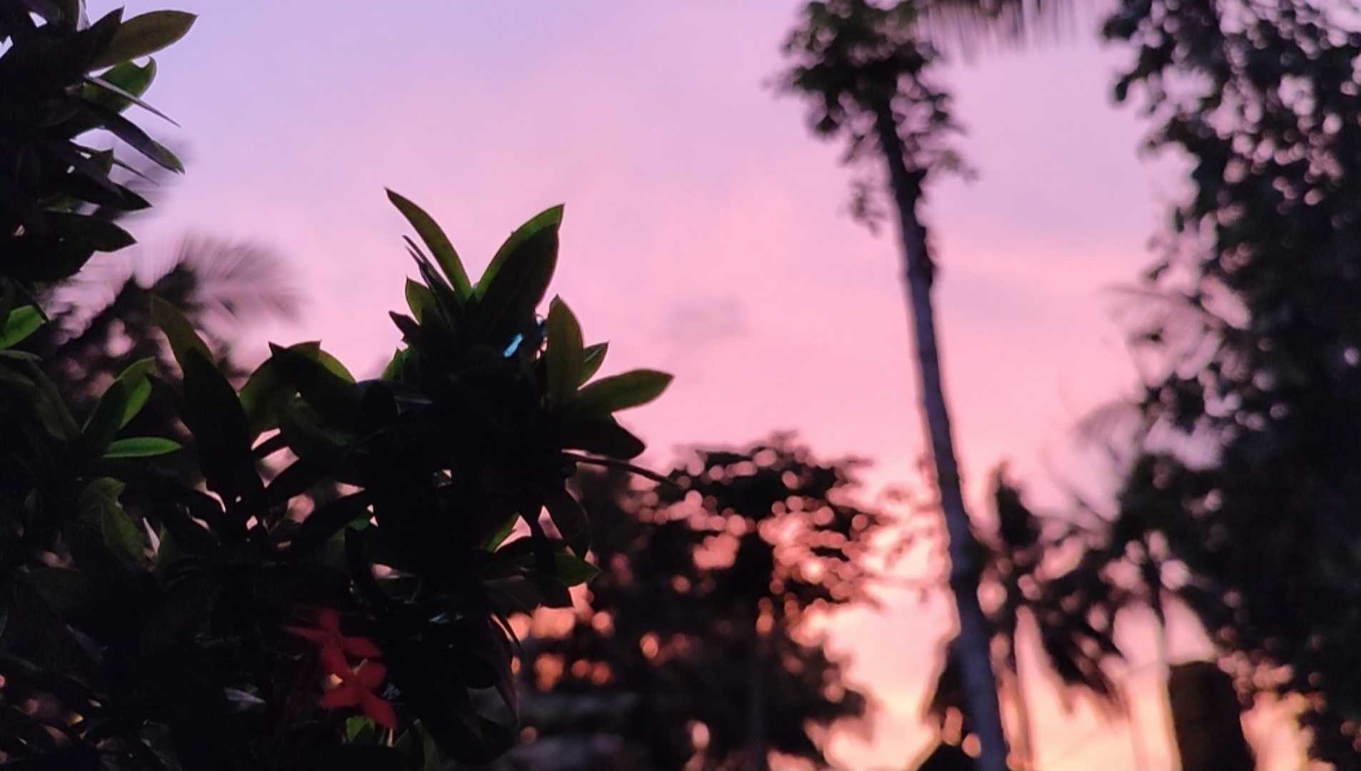 senja