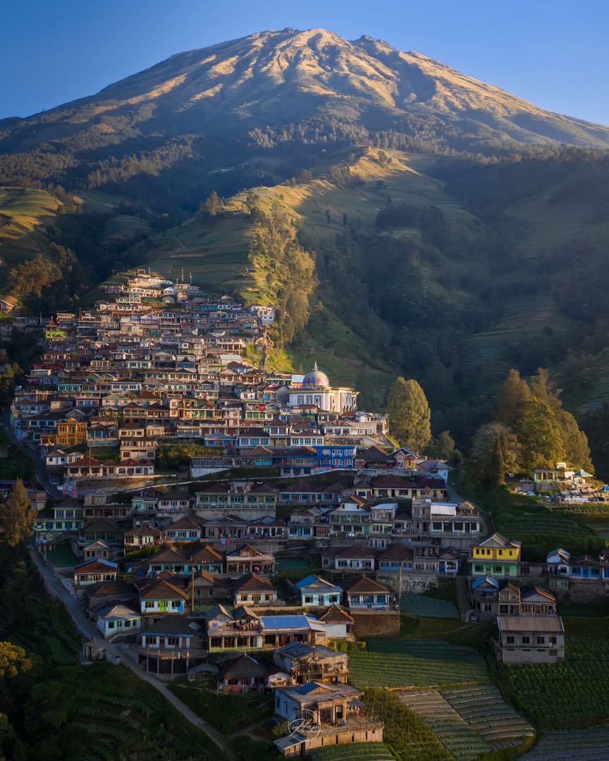 Nepal Van Java
