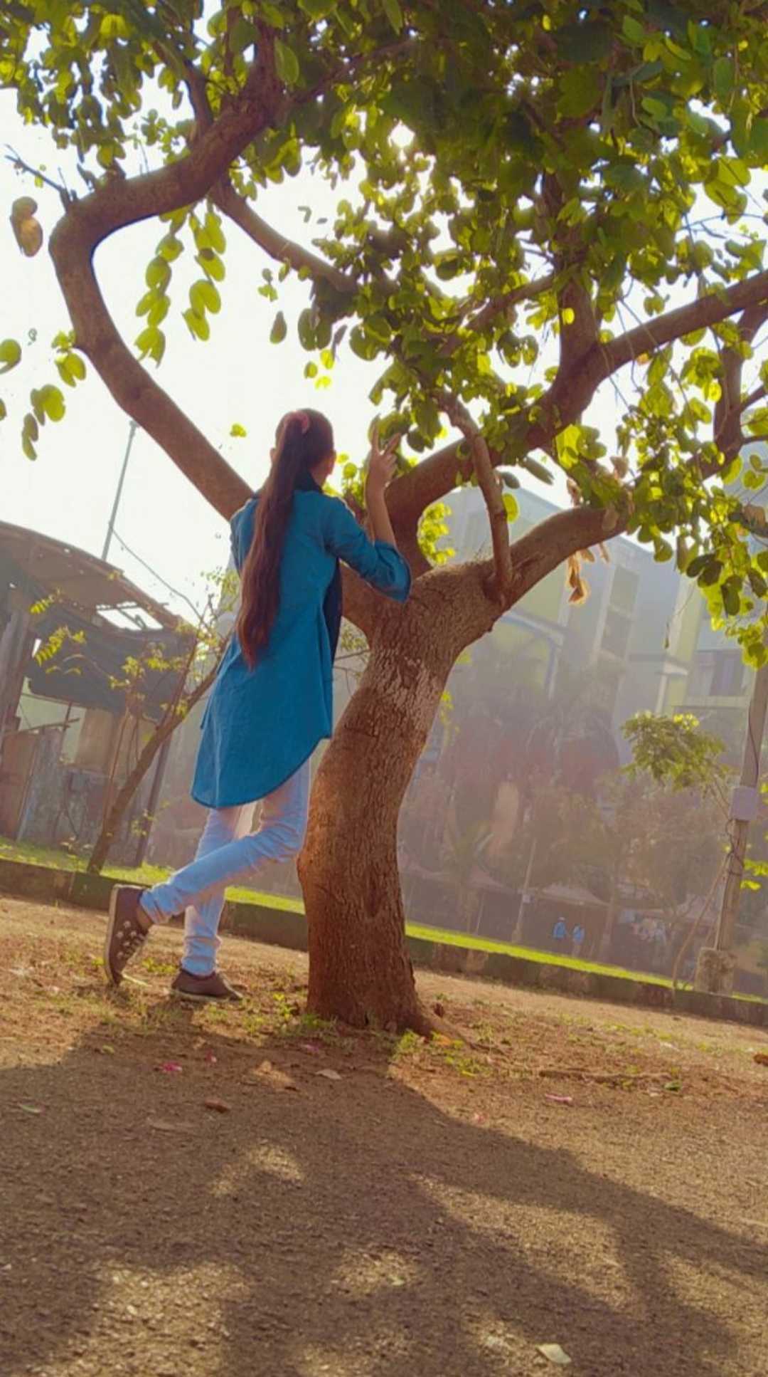 🌳💚🌳